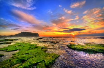 Jeju sunrise coastline