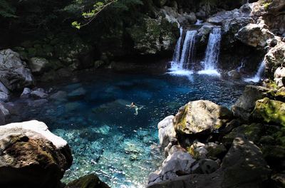 Jeju forest waterfall